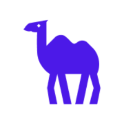 CAMEL-AI logo