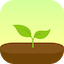 Forest logo