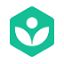 Khan Academy logo