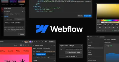 Webflow — product image from the official website